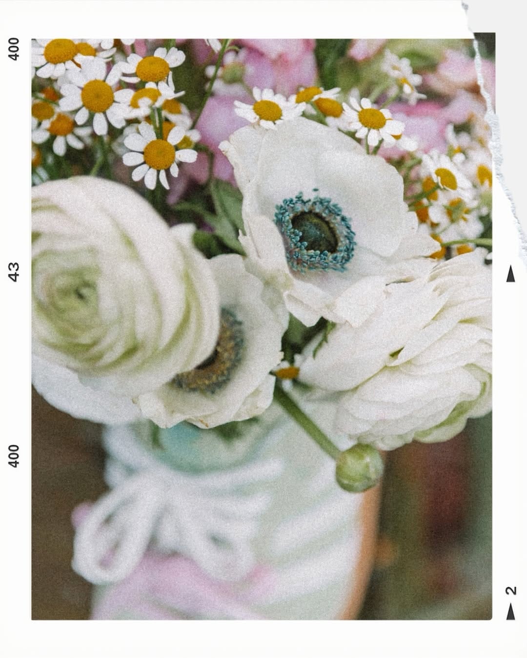 Post 8 by Gemma | Wildlife Photographer on Instagram (carousel)