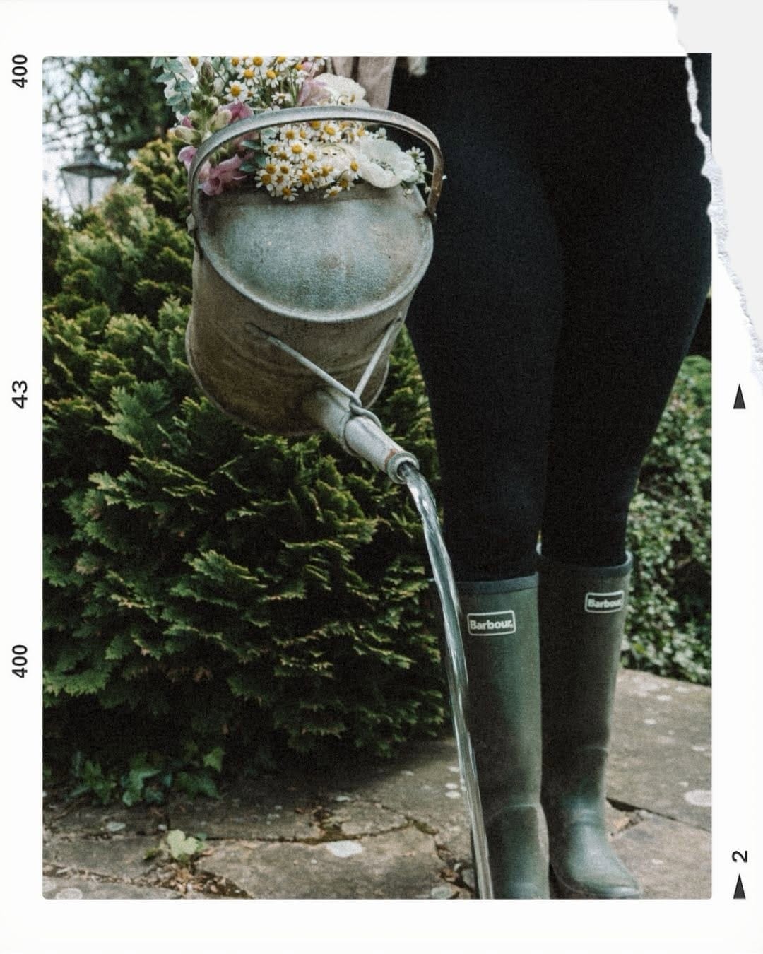 Post 6 by Gemma | Wildlife Photographer on Instagram (carousel)