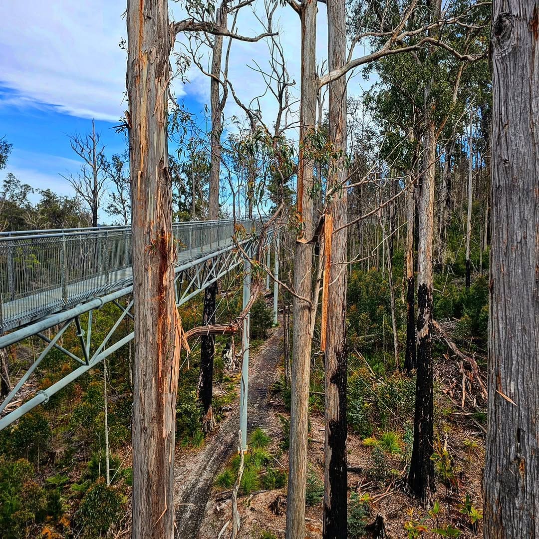 Post 10 by Jennifer (Jen) Johnston ⤵ Brisbane on Instagram (carousel)
