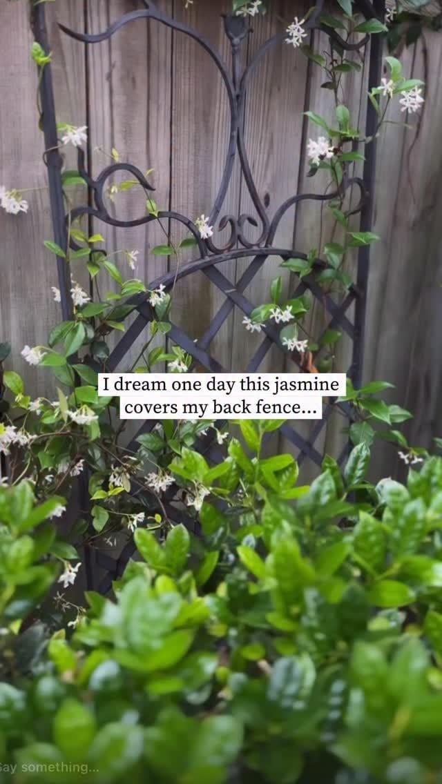 Post 3 by Rosie on Instagram (video)