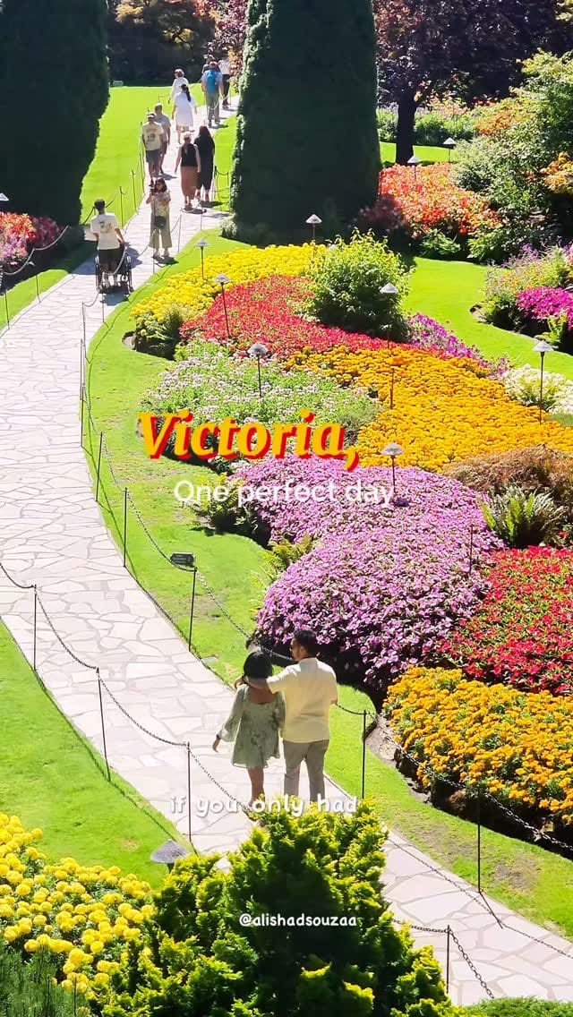 Post 8 by Alisha | Victoria, BC 💕 on Instagram (video)