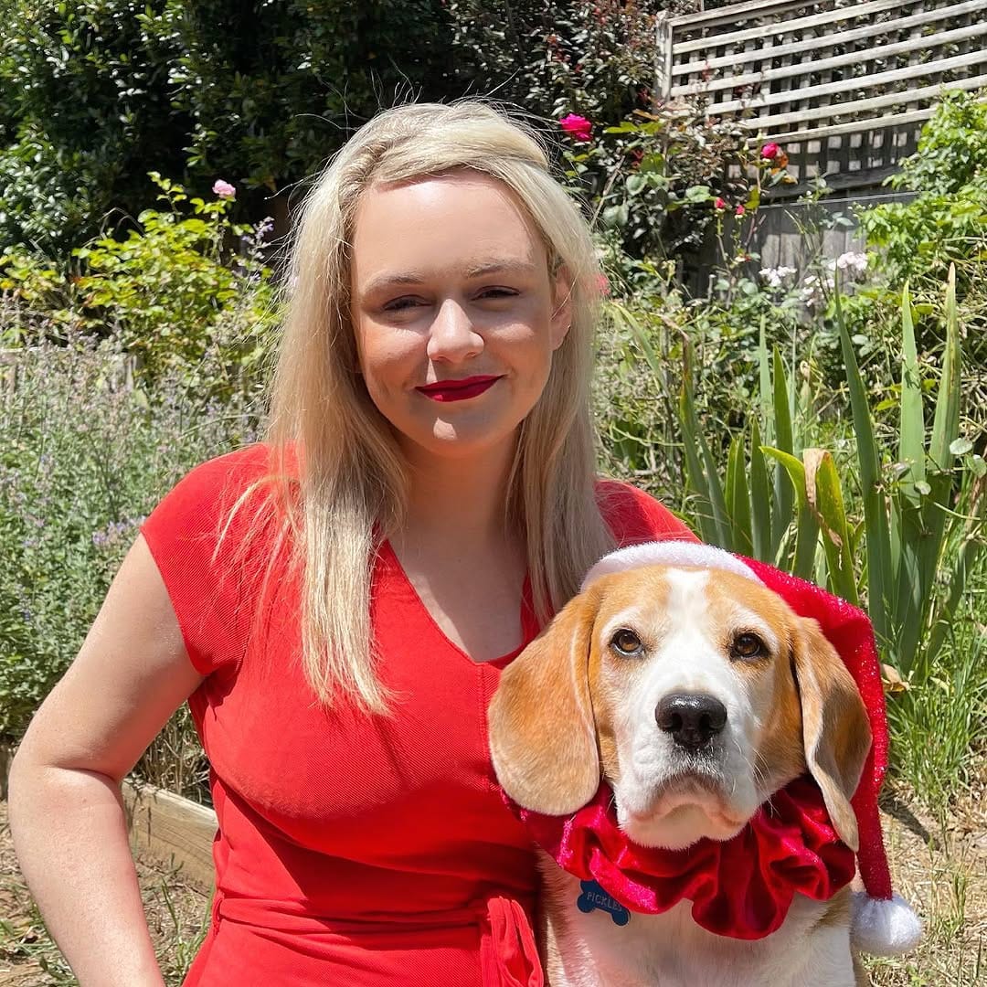 Post 5 by PICKLES THE BEAGLE on Instagram (image)