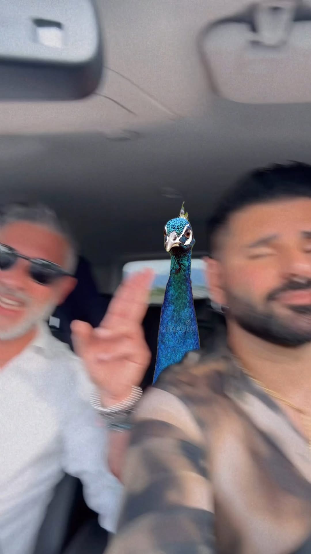 Post 3 by Angelo (Legally Blonde) on Instagram (video)