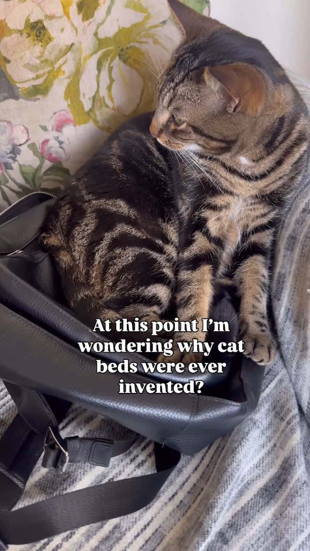 Post 4 by MR CARRINGTON HOME on Instagram (video)