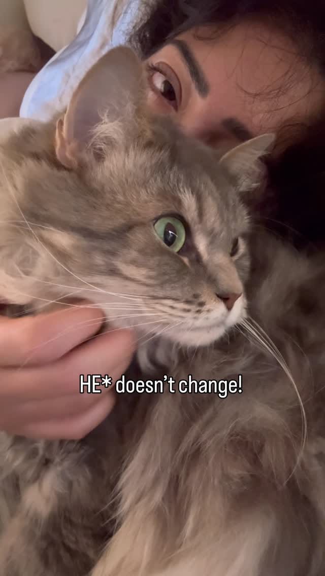 Post 4 by Lady Lillith on Instagram (video)