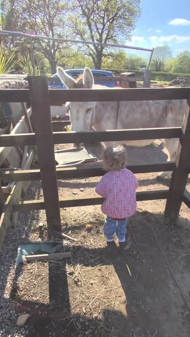 Post 3 by Gary Saurin on Instagram (video)