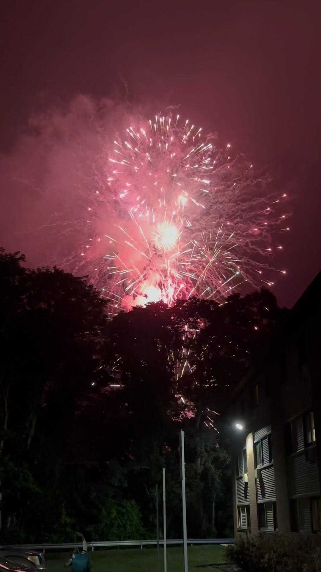 Post 8 by Victoria T Nguyen on Instagram (video)