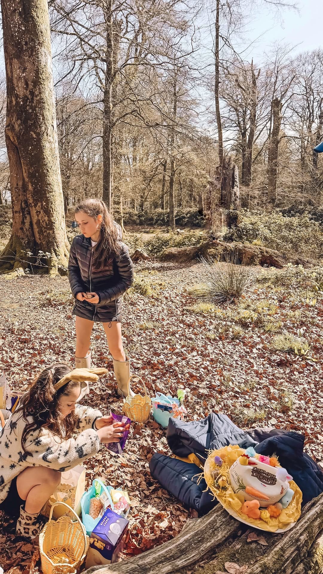 Post 2 by Emily ✨ Blog me beautiful on Instagram (video)