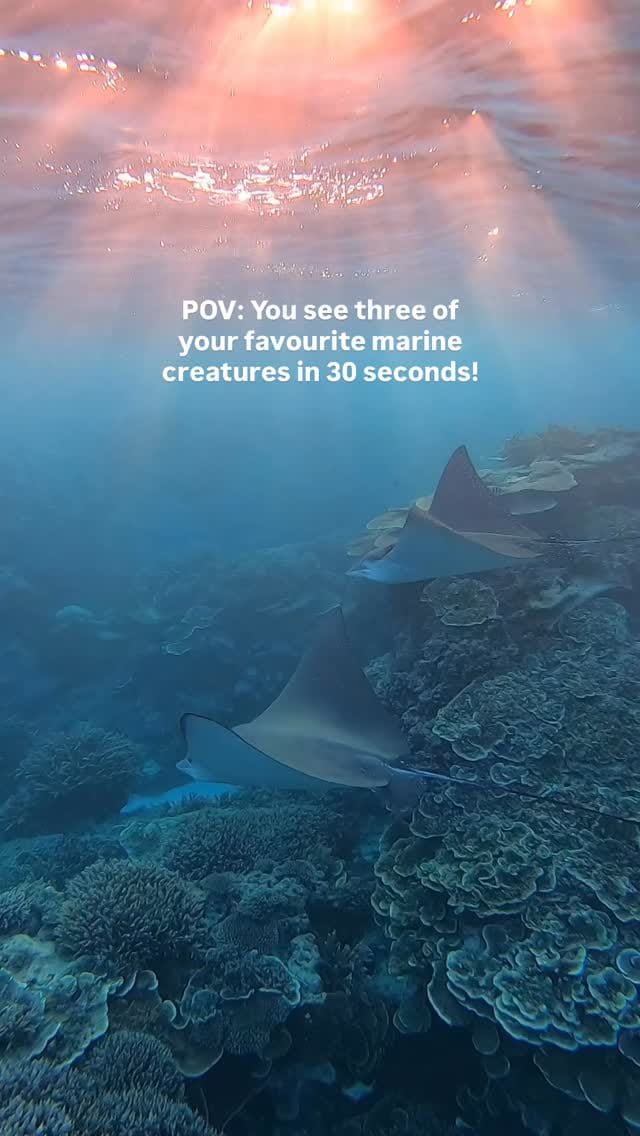 Post 2 by Jacinta Shackleton on Instagram (video)
