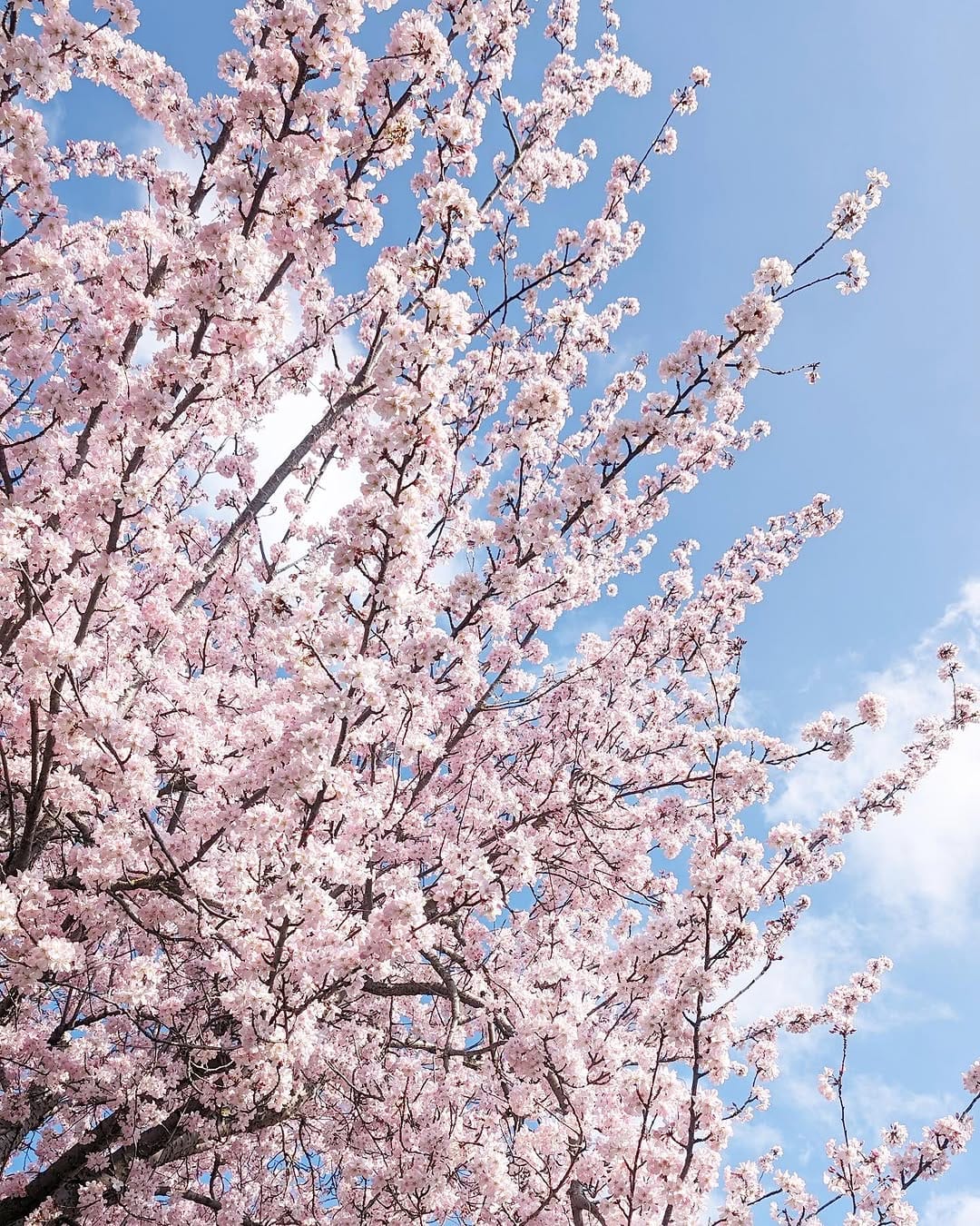 Post 7 by Victoria Metaxas | Travel Advisor on Instagram (image)