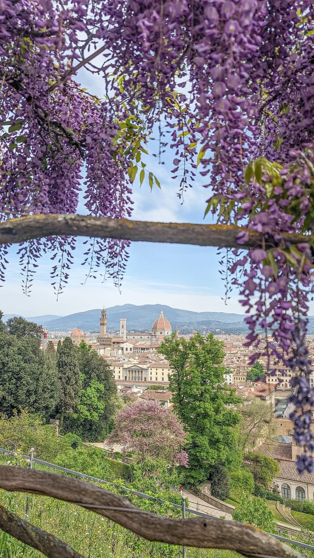 Post 5 by Victoria Metaxas | Travel Advisor on Instagram (video)