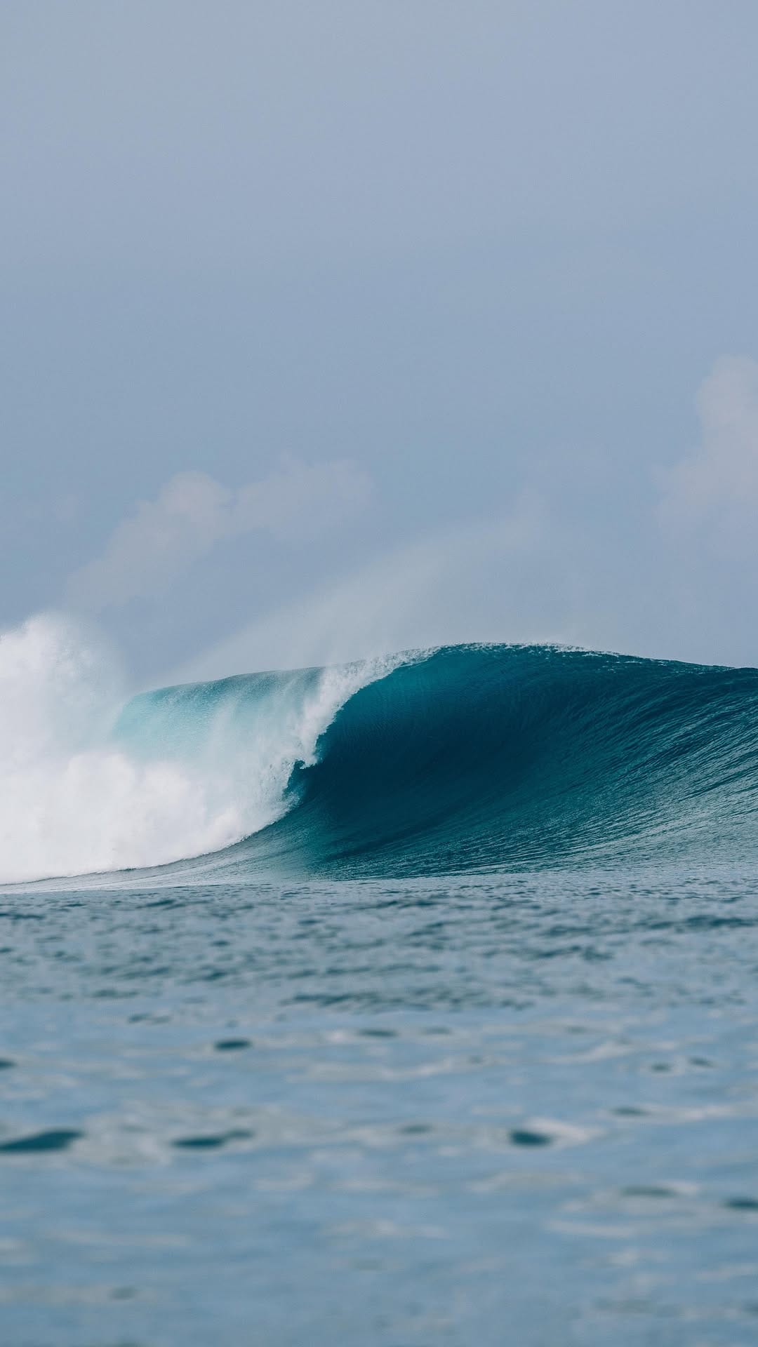 Post 1 by Harry Vick on Instagram (video)