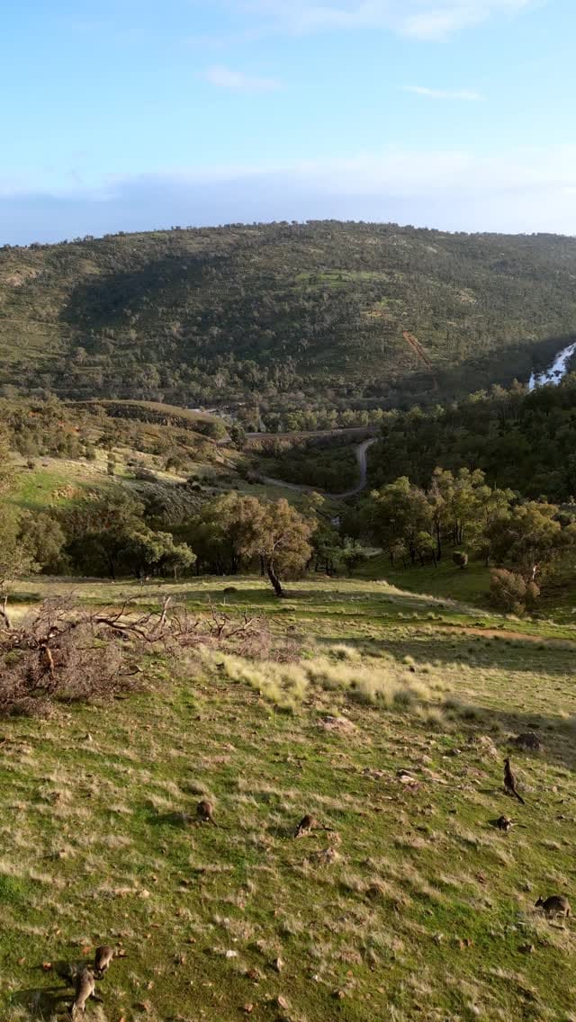 Post 2 by Kane J & Isabella Ellen | Western Australia + Beyond on Instagram (video)