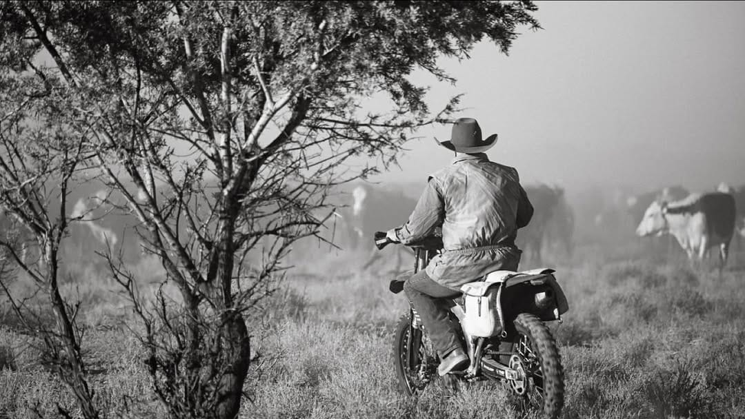 Post 4 by Anne-maree • Western Qld Photographer on Instagram (image)