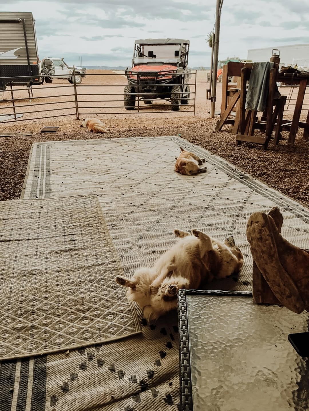 Post 5 by Anne-maree • Western Qld Photographer on Instagram (image)