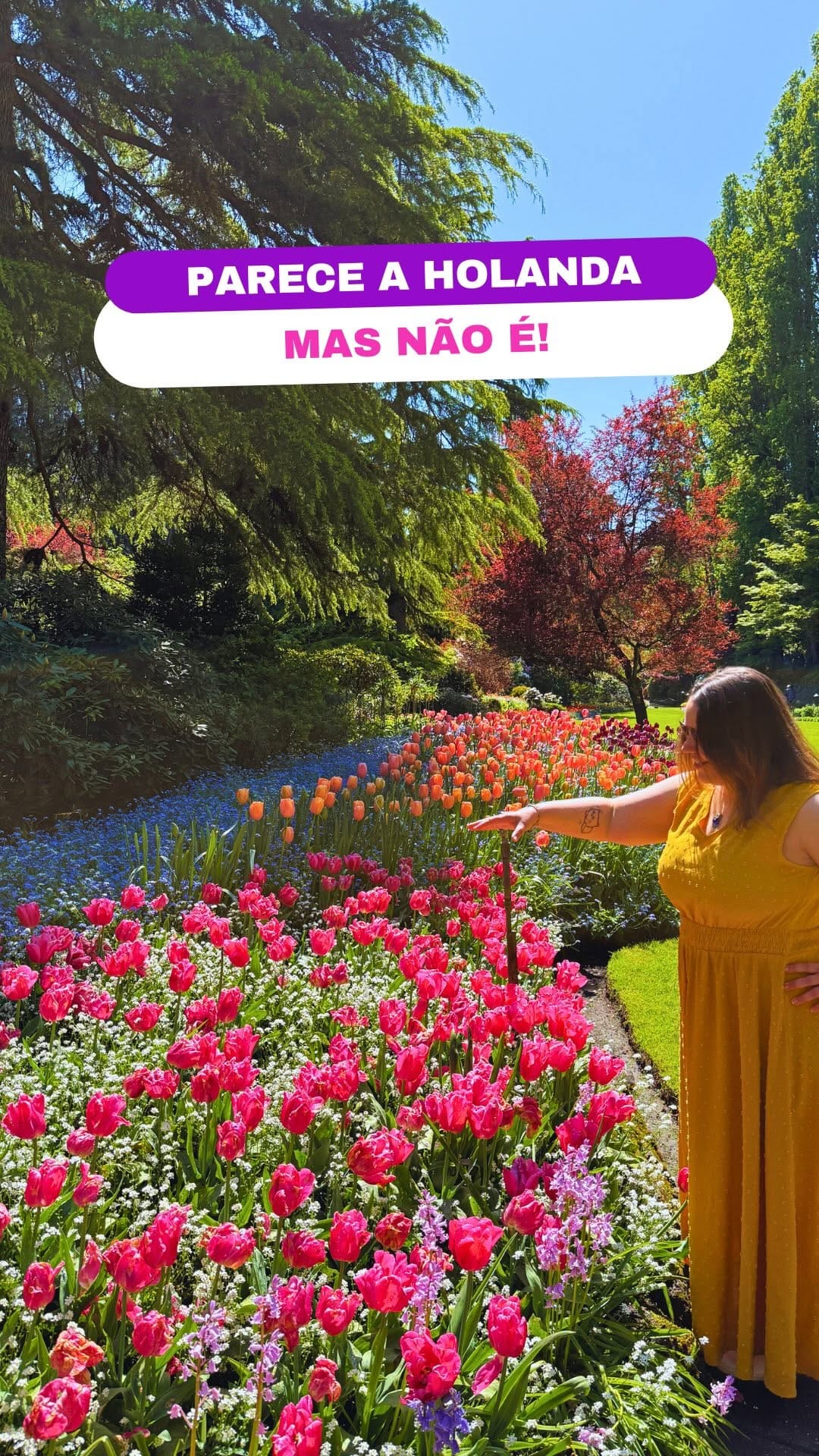 Post 2 by Fefa | Dicas de Viagem & Turismo ✈️ on Instagram (video)