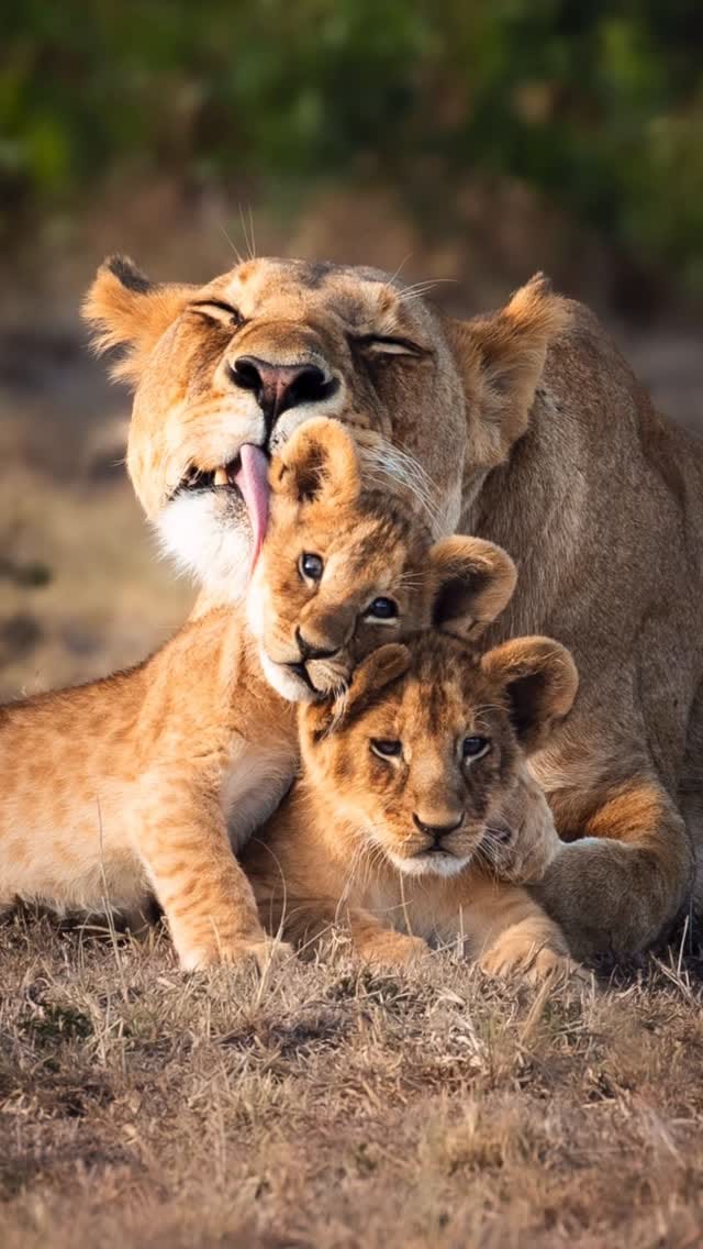 Post 7 by Harman Singh Heer on Instagram (video)