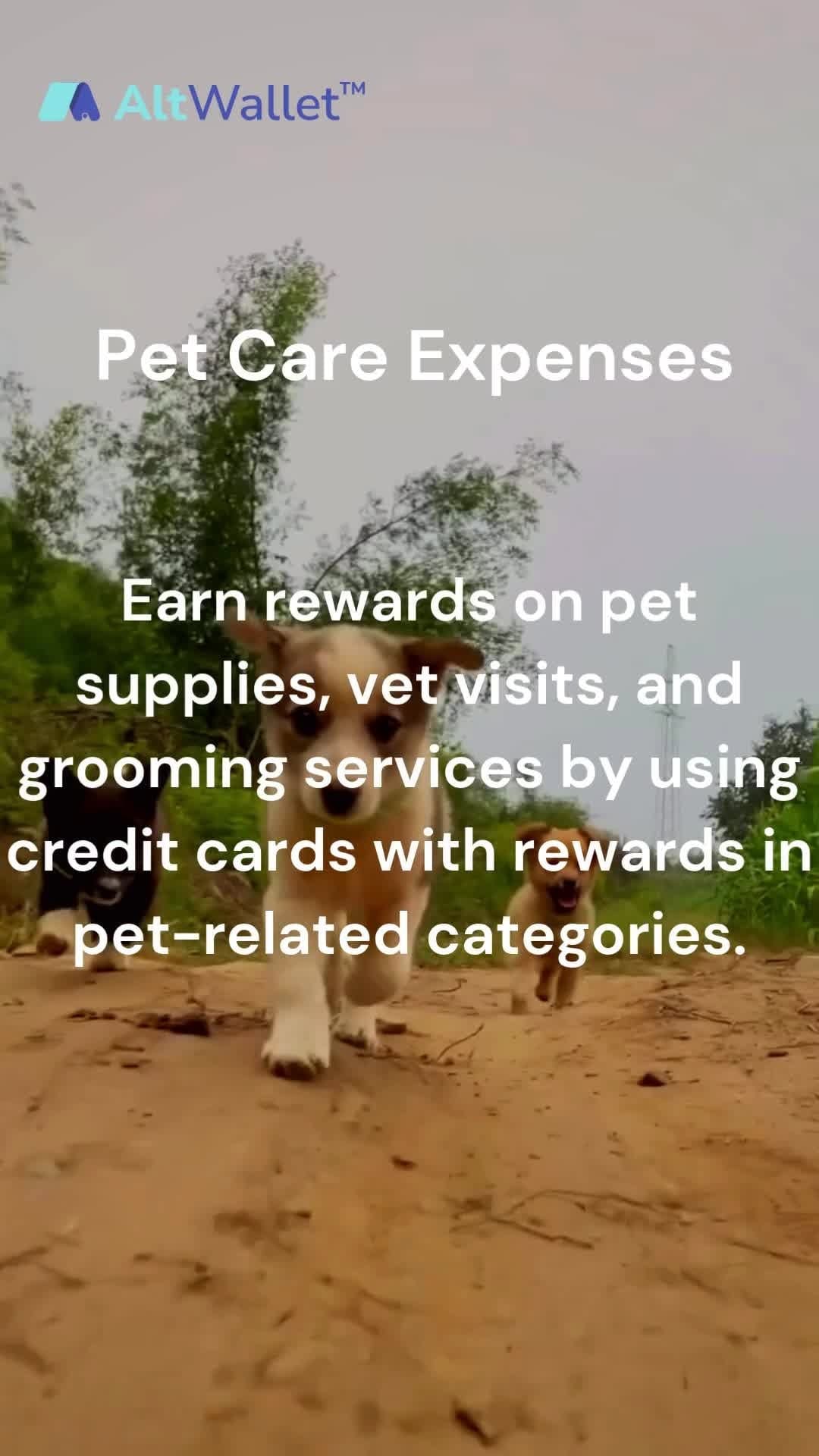 Post 6 by AltWallet™ AI- Your Credit Card Companion on Instagram (video)