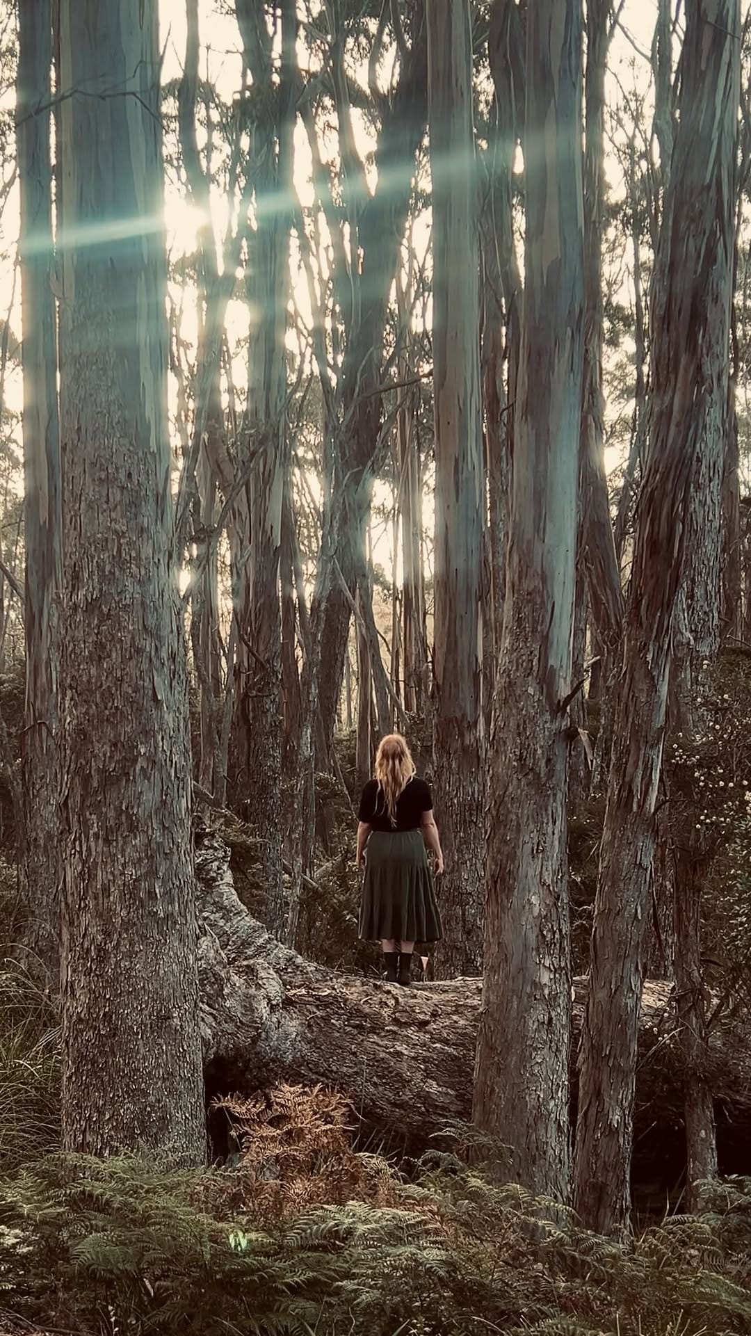 Post 2 by Catherine O’Brien on Instagram (video)