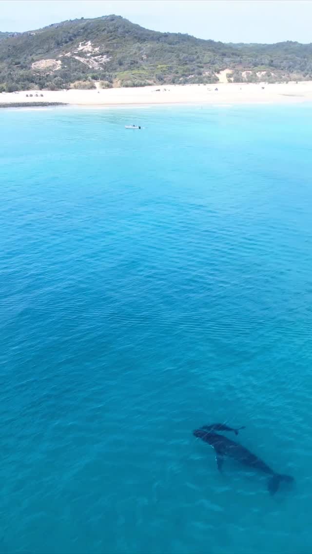 Post 4 by Audrey ~ Australia, outdoors, adventure & drone 🌊 on Instagram (video)