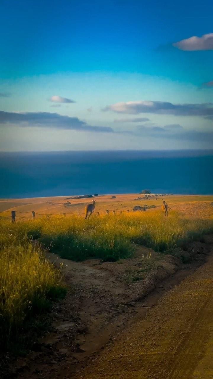 Post 10 by Fariz Fariz on Instagram (video)