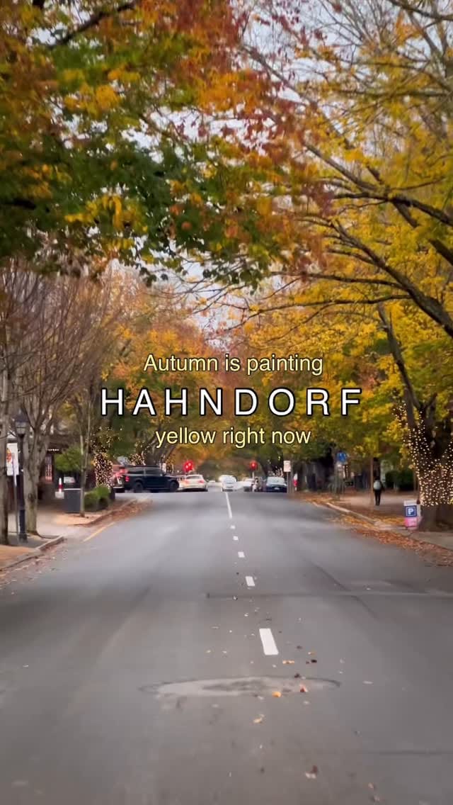 Post 2 by Fariz Fariz on Instagram (video)