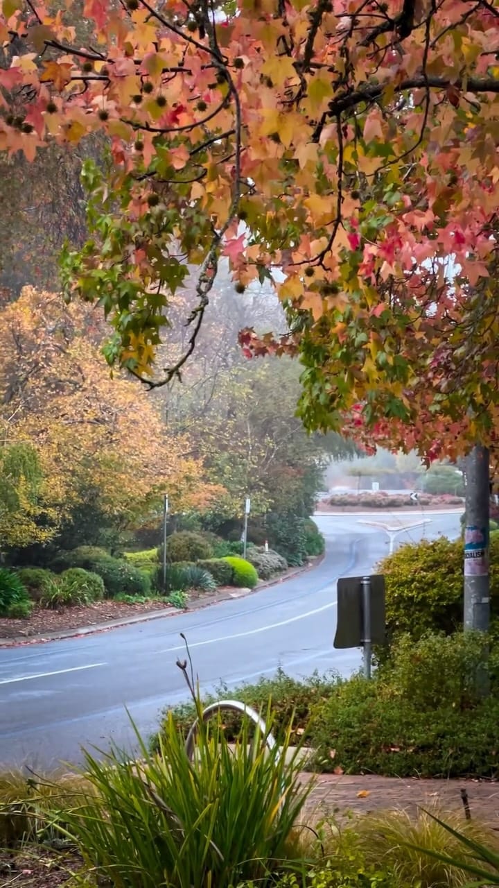 Post 1 by Fariz Fariz on Instagram (video)