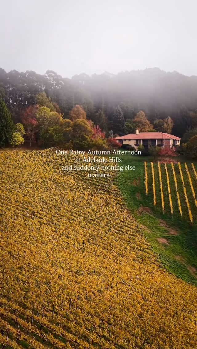 Post 6 by Fariz Fariz on Instagram (video)