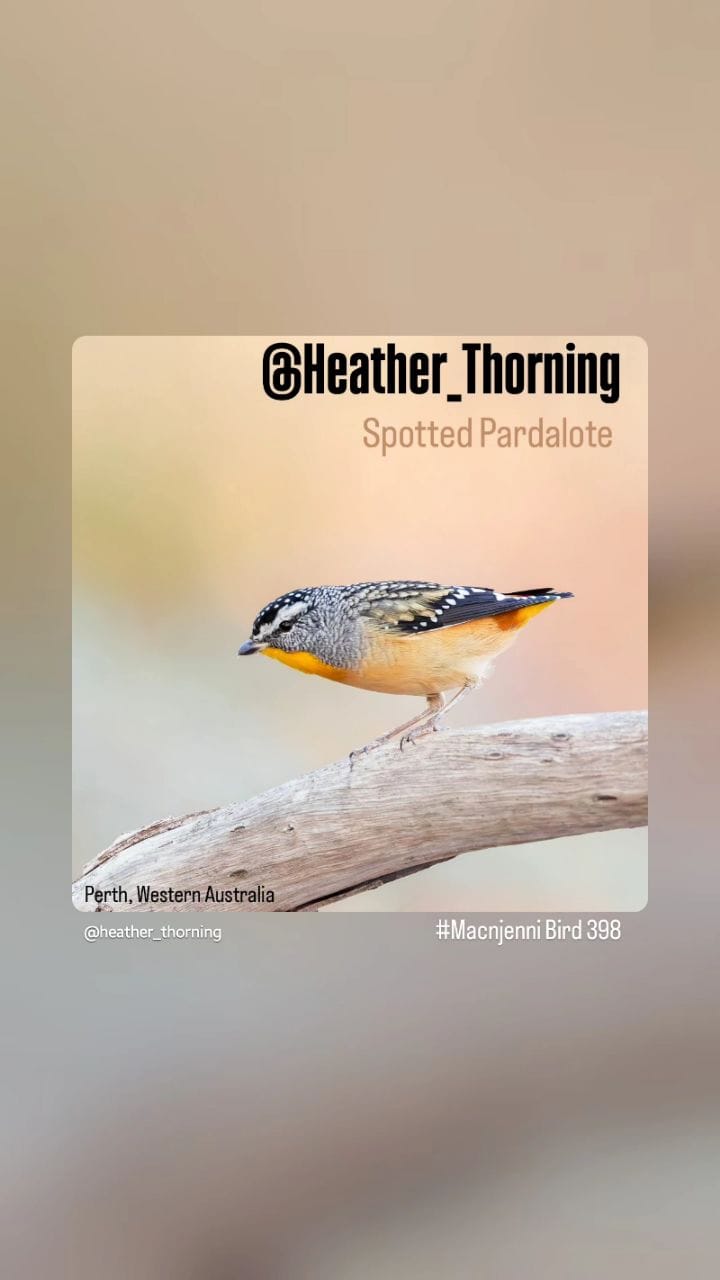 Post 7 by Heather Thorning on Instagram (video)