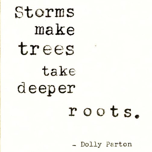 Post 5 by The Tidalist on Instagram (image)