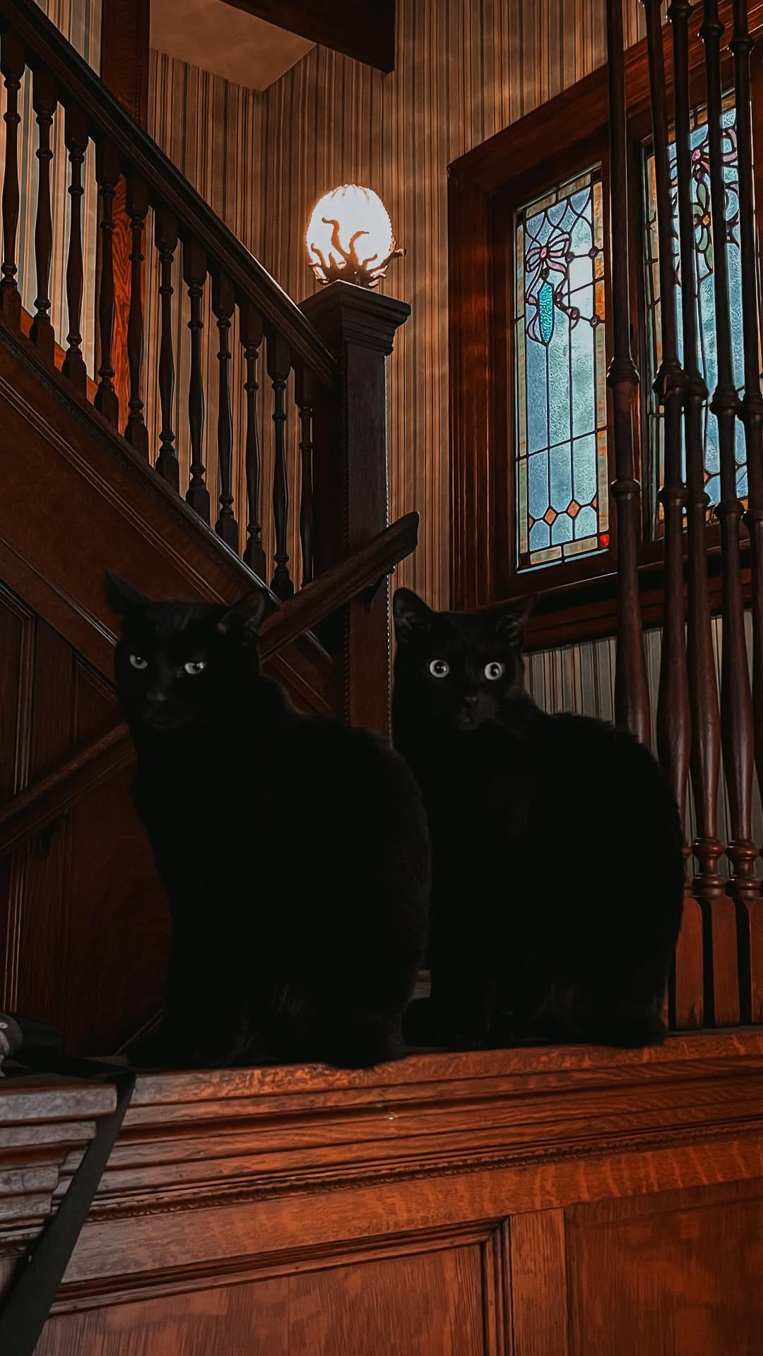 Post 7 by A L I N E |  Victorian Home - Witch - Artist - Traveler ✨ on Instagram (video)