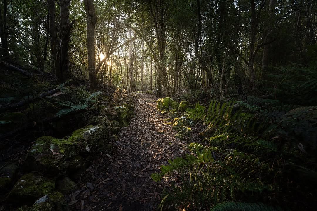 Post 1 by Ryan on Instagram (image)