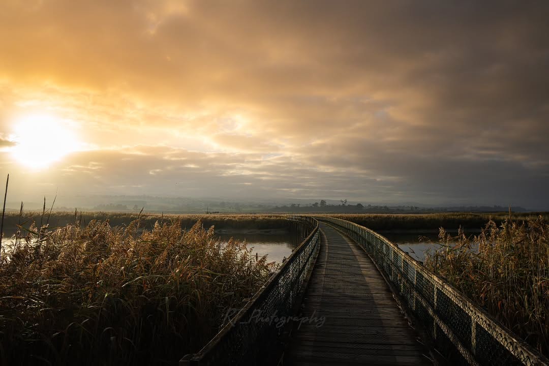 Post 4 by Ryan on Instagram (image)