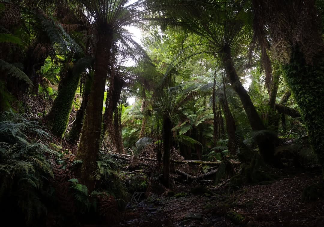 Post 8 by Ryan on Instagram (image)