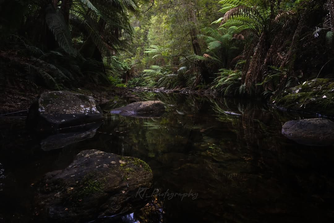 Post 2 by Ryan on Instagram (image)