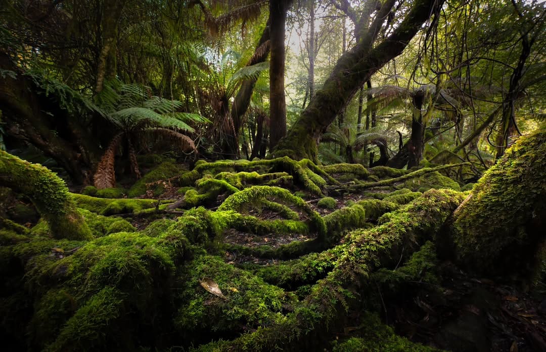 Post 6 by Ryan on Instagram (image)