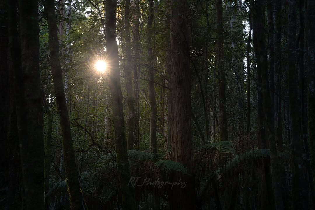 Post 10 by Ryan on Instagram (image)