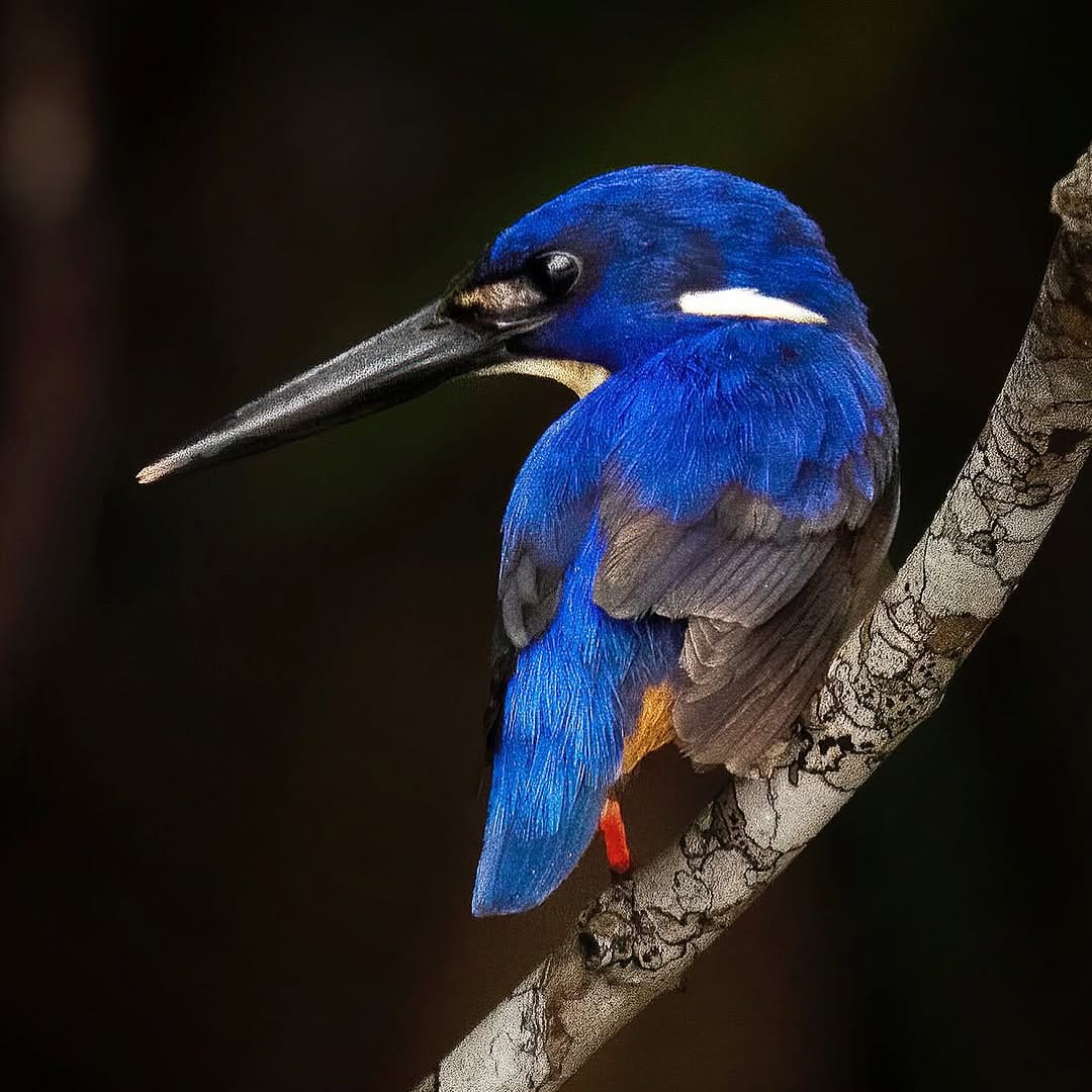 Post 4 by Barry Baker on Instagram (image)