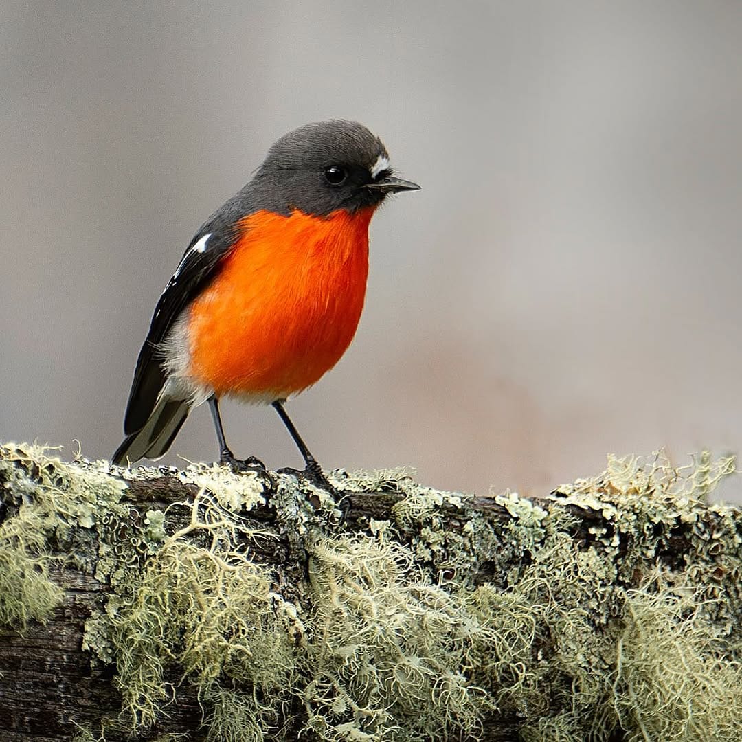 Post 10 by Barry Baker on Instagram (image)