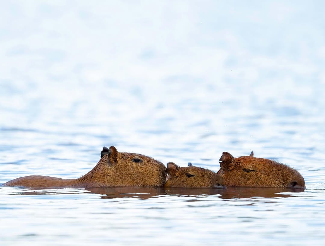 Post 3 by Barry Baker on Instagram (image)