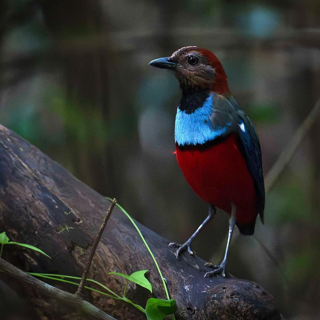 Post 8 by Barry Baker on Instagram (image)