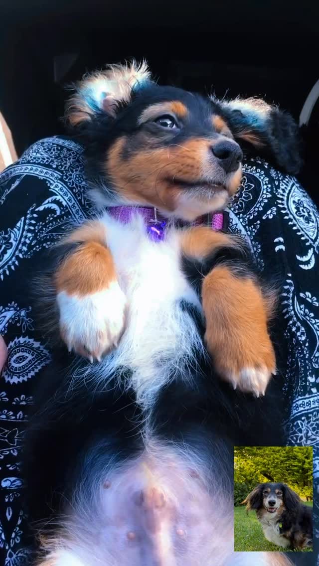 Post 1 by ✨🦴 ＡＲＬＯ 🦴✨ on Instagram (video)