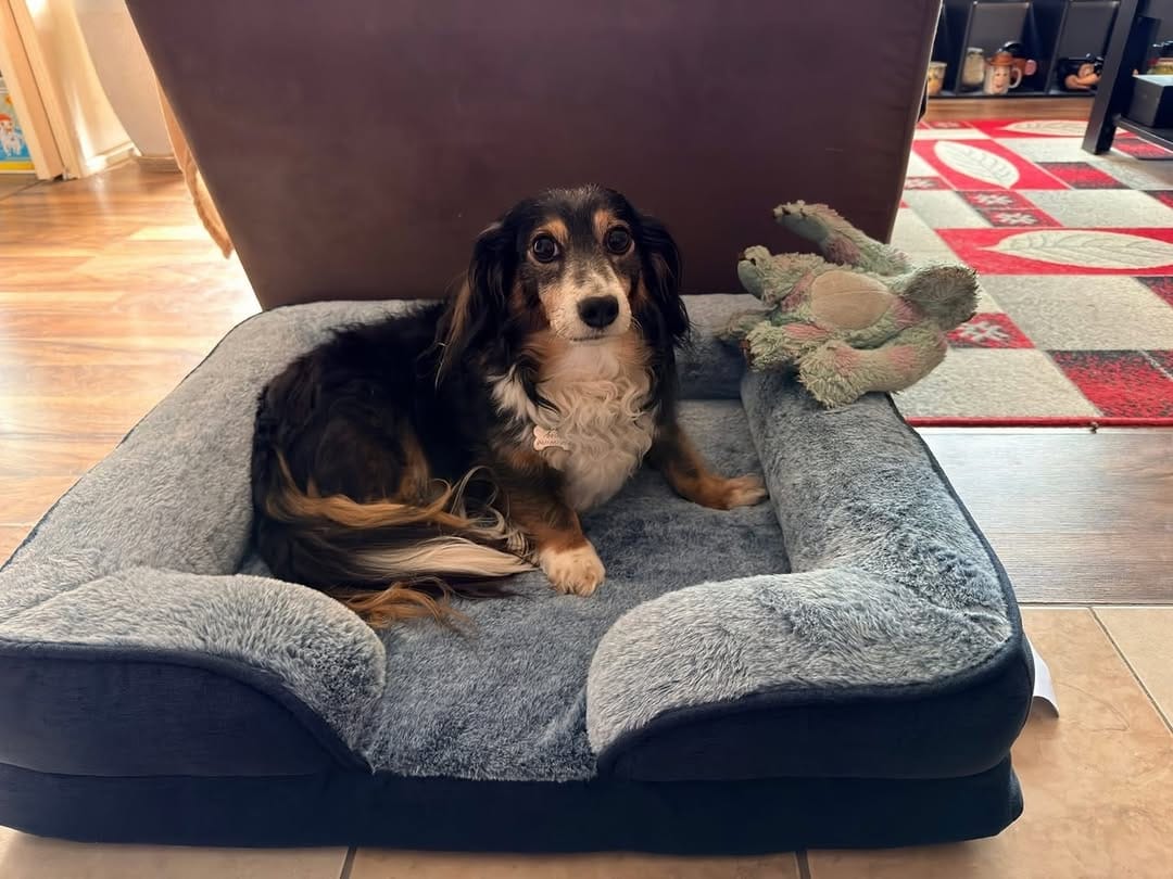 Post 2 by ✨🦴 ＡＲＬＯ 🦴✨ on Instagram (carousel)