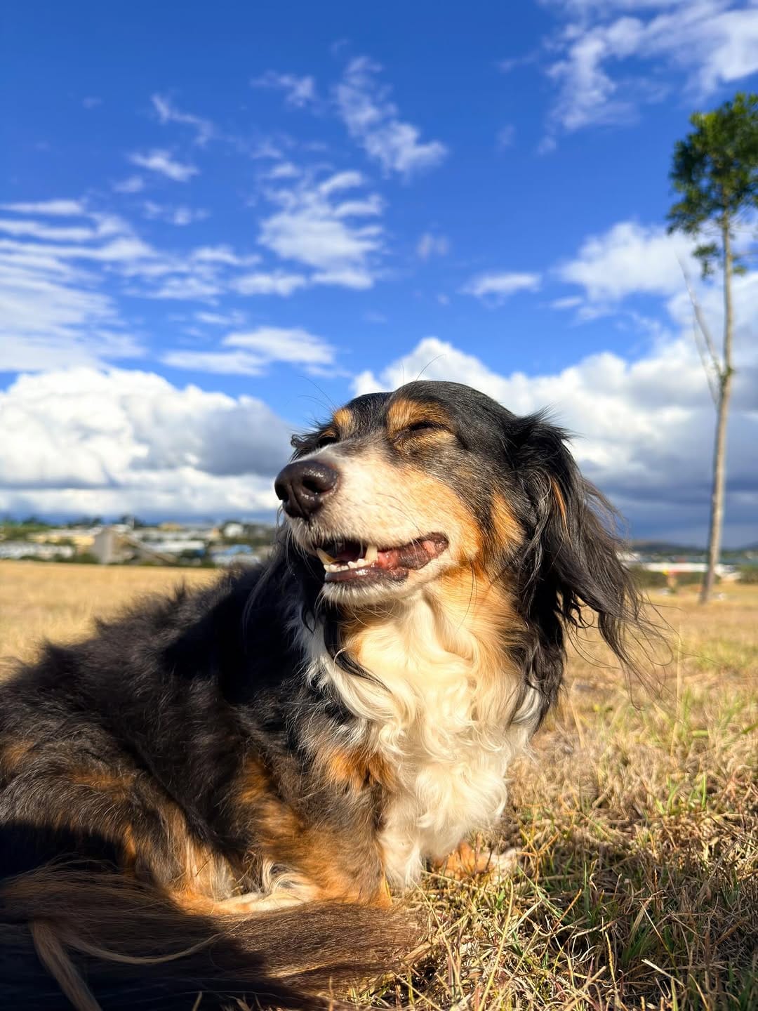 Post 6 by ✨🦴 ＡＲＬＯ 🦴✨ on Instagram (carousel)