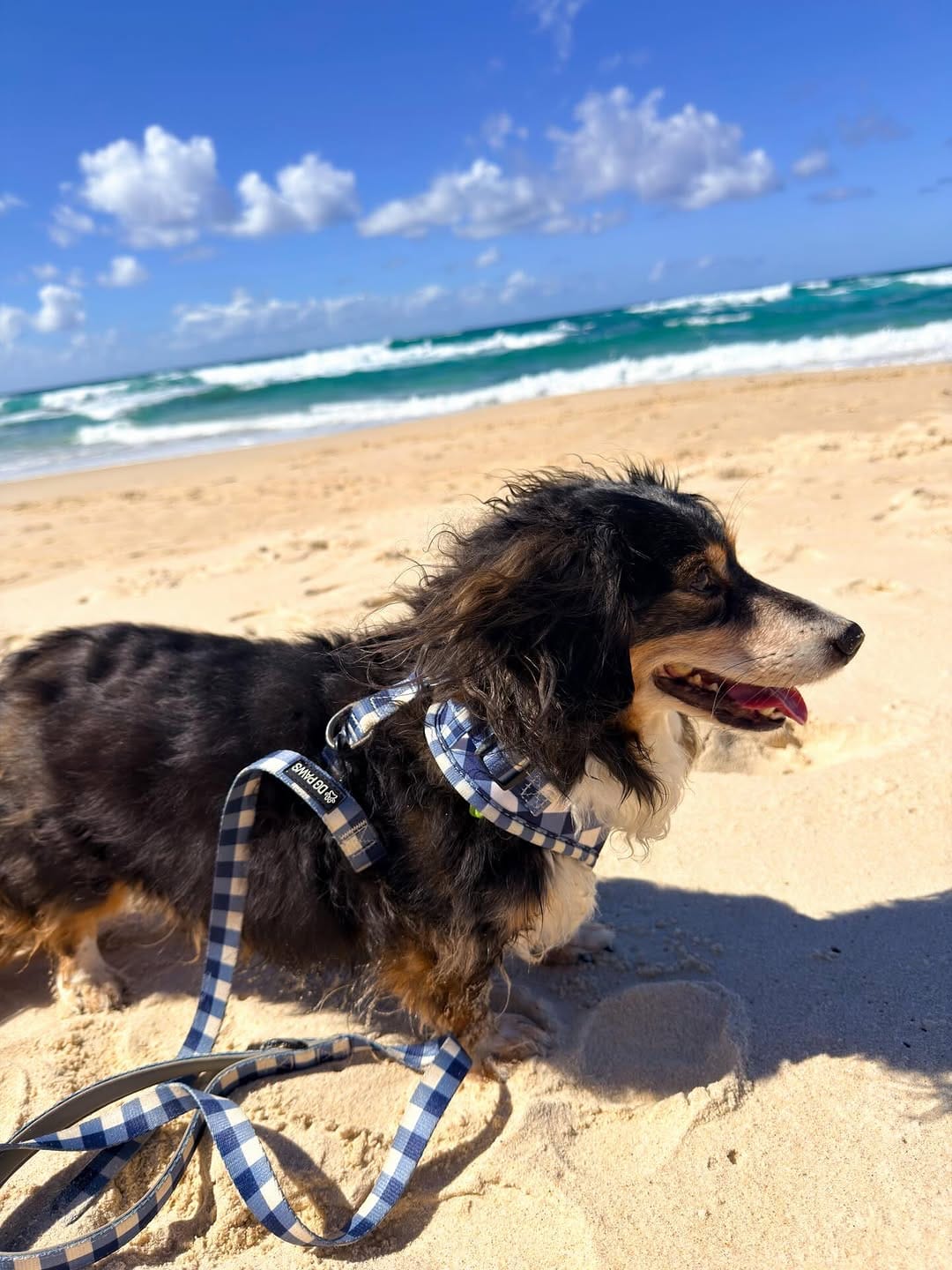 Post 7 by ✨🦴 ＡＲＬＯ 🦴✨ on Instagram (image)