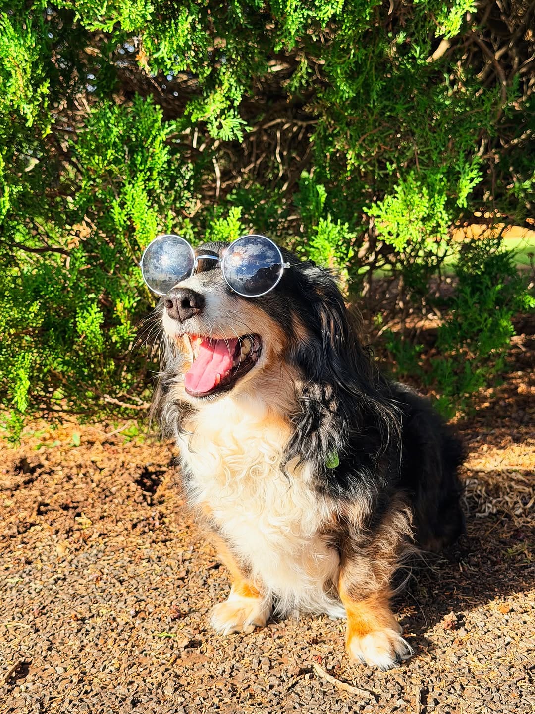 Post 3 by ✨🦴 ＡＲＬＯ 🦴✨ on Instagram (image)