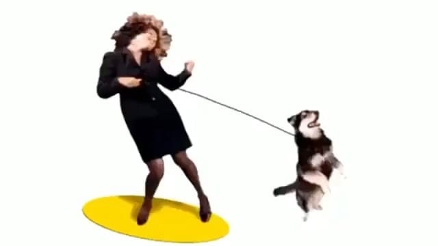 Post 10 by Funny Videos and Vines on Instagram (video)