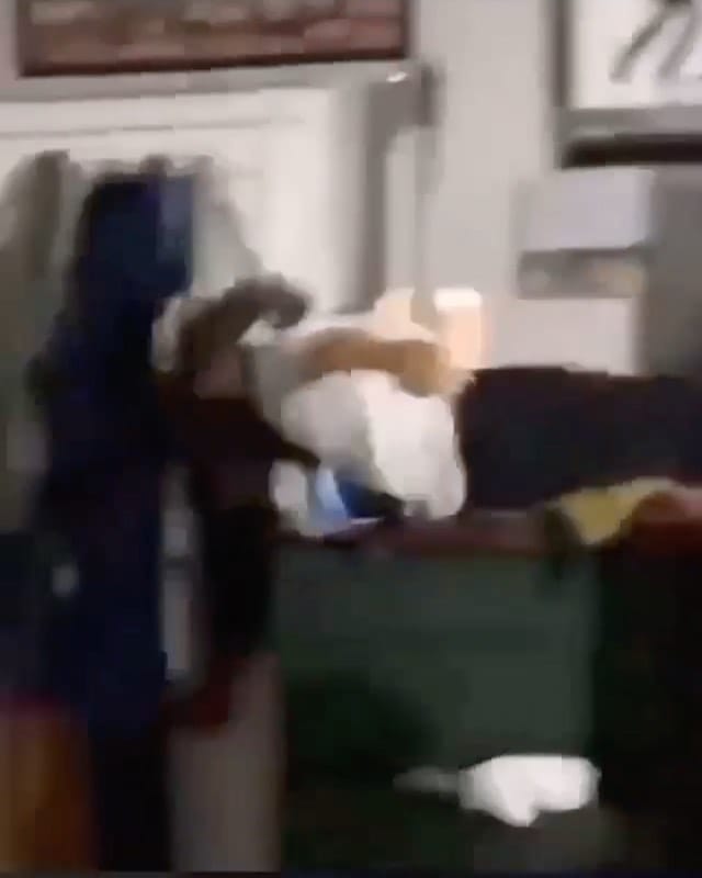 Post 5 by Funny Videos and Vines on Instagram (video)