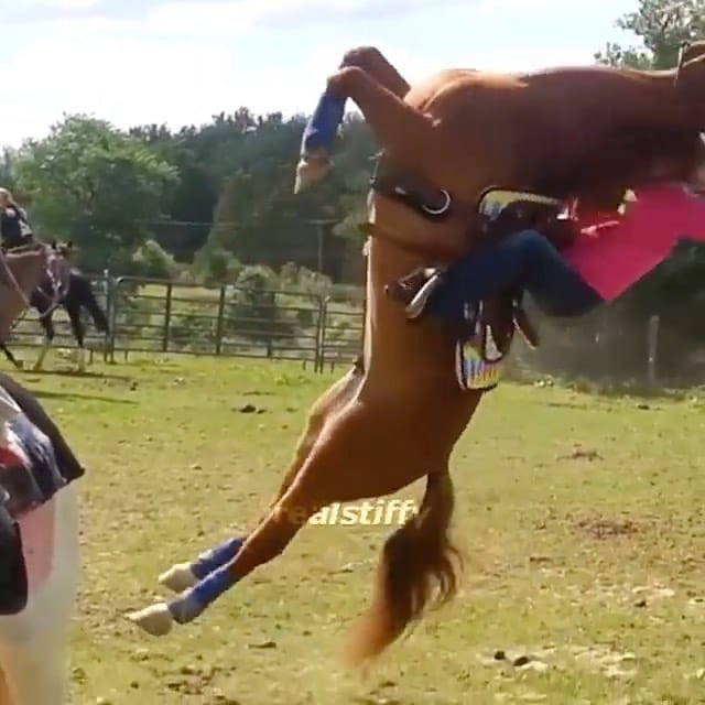 Post 9 by Funny Videos and Vines on Instagram (video)