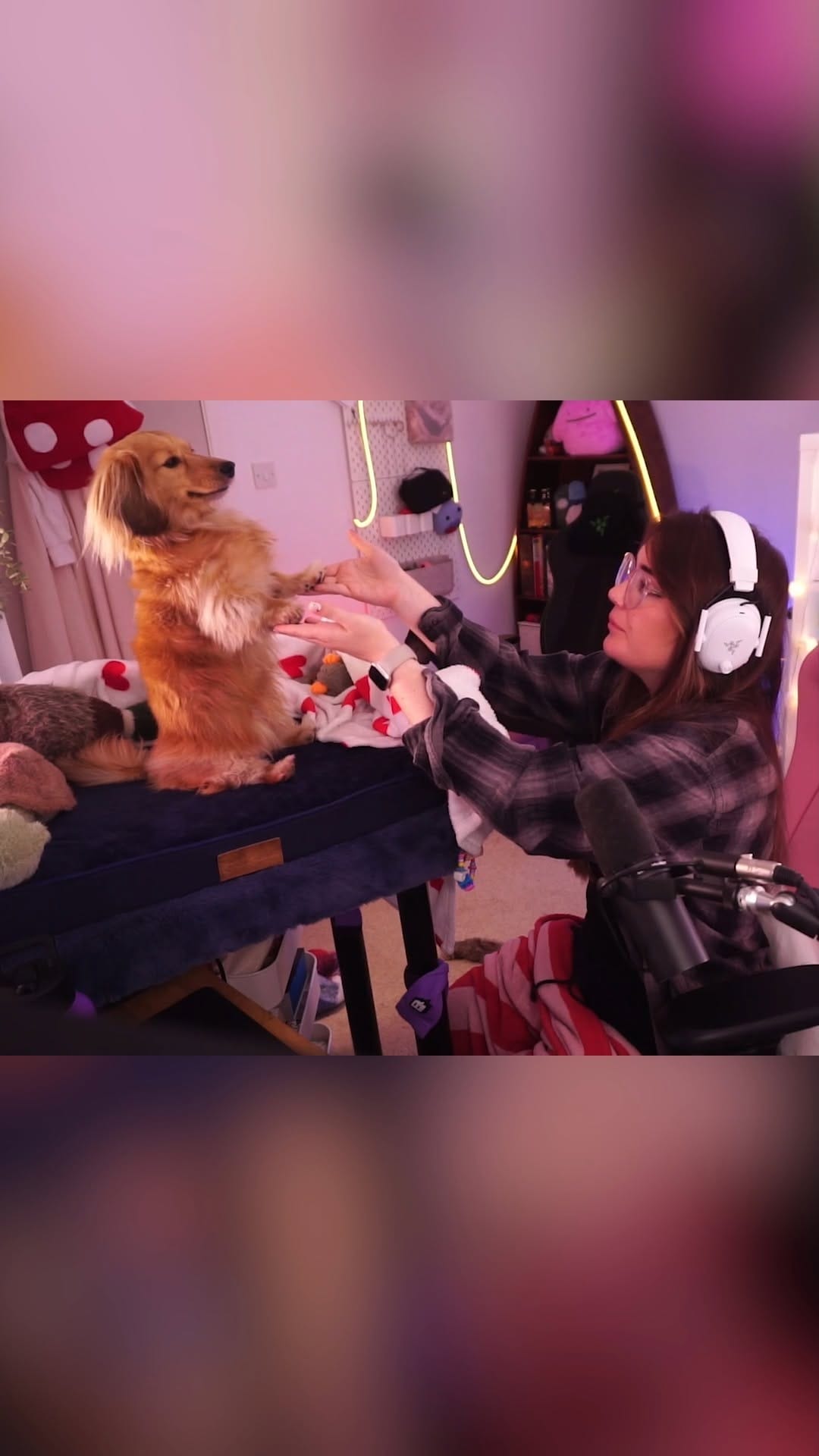 Post 1 by poopernoodle on Instagram (video)